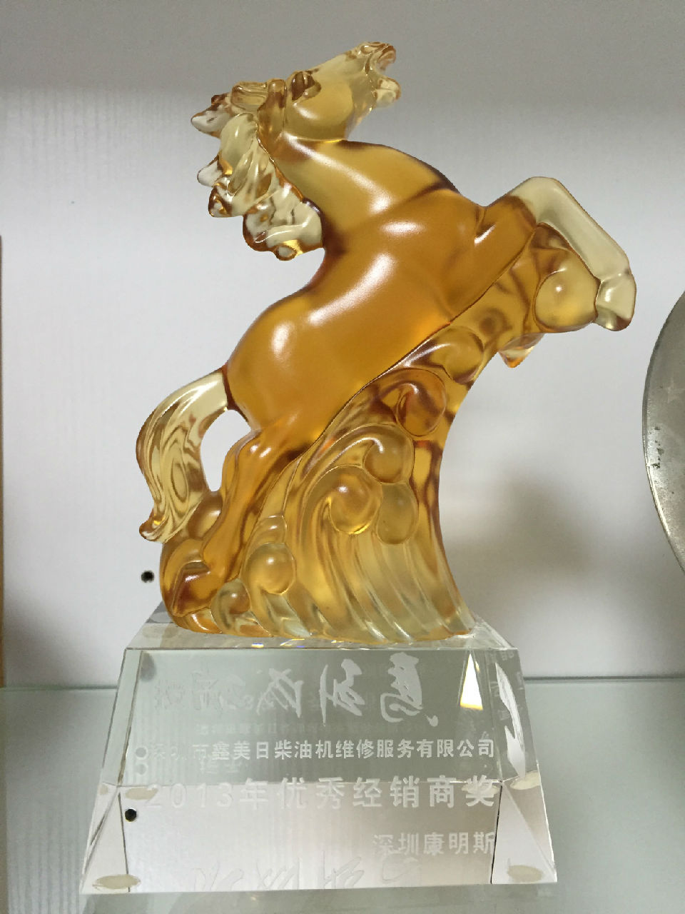 2013年年度優(yōu)秀經(jīng)銷(xiāo)商獎(jiǎng)_c