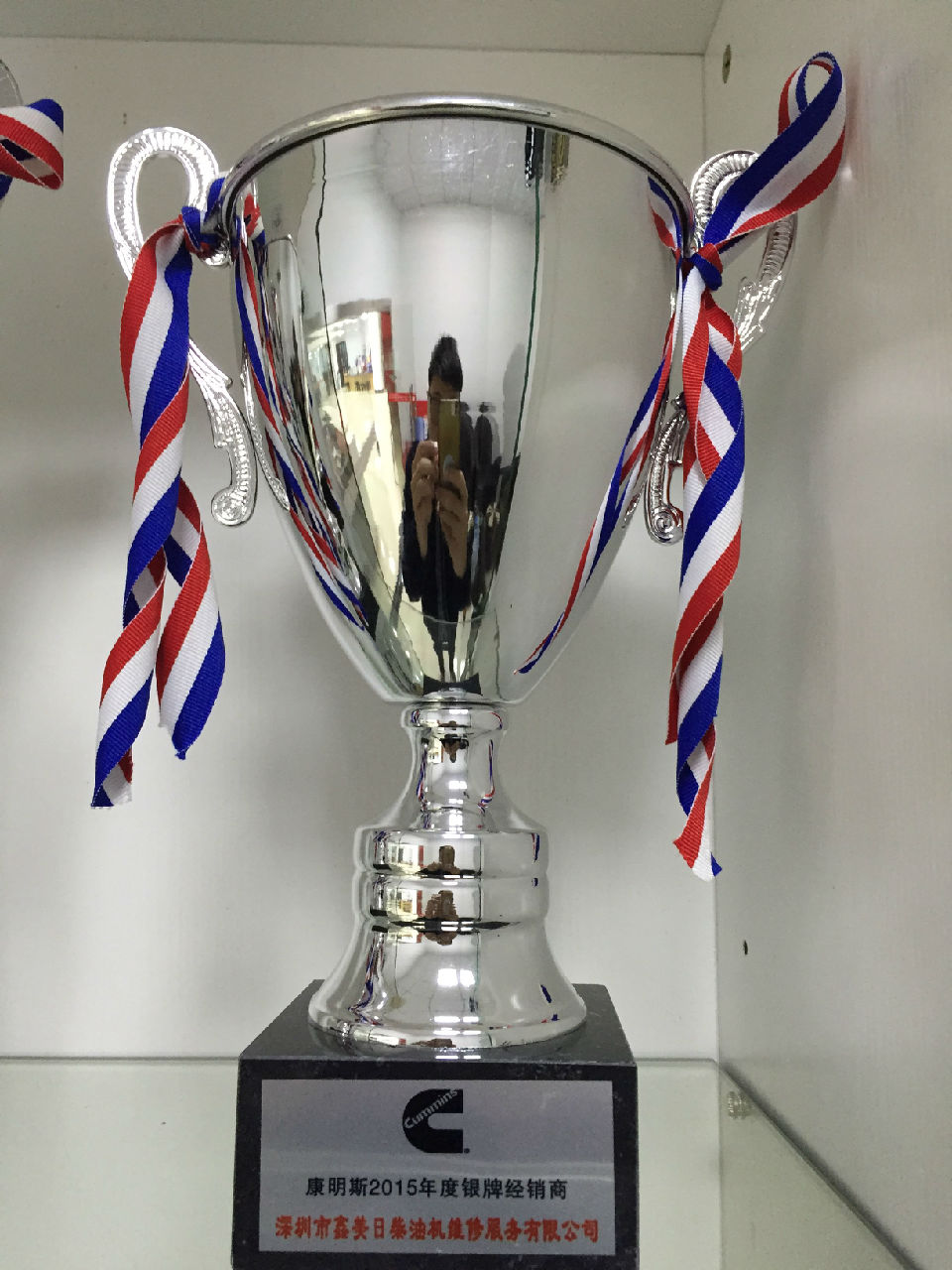 2015年康明斯年度銀牌經(jīng)銷(xiāo)商_c